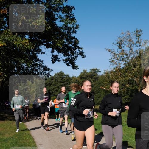 28.09.2025 - 33. Volkslauf durch das schöne Alstertal Fabian Wolf http://msf.ph/oto/8975337 28.09.2025 10:36:23 Laufen 323, 75, 95 meine-sportfotos.de