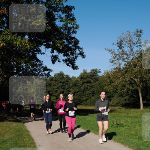 28.09.2025 - 33. Volkslauf durch das schöne Alstertal Fabian Wolf http://msf.ph/oto/8975398 28.09.2025 10:36:32 Laufen 3397 meine-sportfotos.de