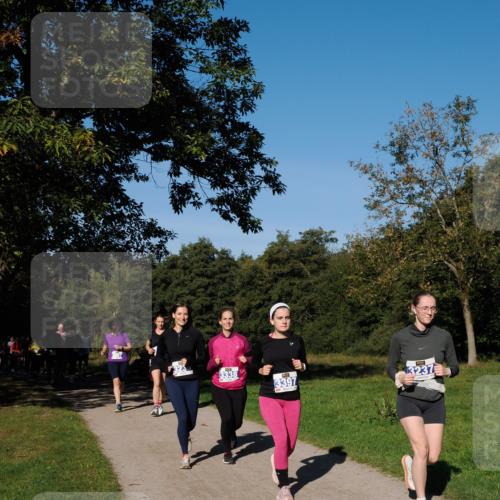28.09.2025 - 33. Volkslauf durch das schöne Alstertal Fabian Wolf http://msf.ph/oto/8975401 28.09.2025 10:36:33 Laufen 3338, 3397, 3237 meine-sportfotos.de