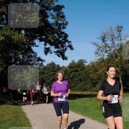 28.09.2025 - 33. Volkslauf durch das schöne Alstertal Fabian Wolf http://msf.ph/oto/8975430 28.09.2025 10:36:37 Laufen 346, 3007, 183 meine-sportfotos.de
