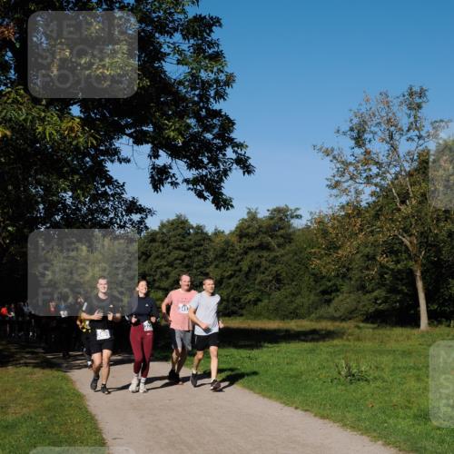 28.09.2025 - 33. Volkslauf durch das schöne Alstertal Fabian Wolf http://msf.ph/oto/8975441 28.09.2025 10:36:39 Laufen 607, 3413 meine-sportfotos.de