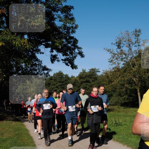 28.09.2025 - 33. Volkslauf durch das schöne Alstertal Fabian Wolf http://msf.ph/oto/8975481 28.09.2025 10:36:45 Laufen 126, 3281, 3072, 3102, 50 meine-sportfotos.de