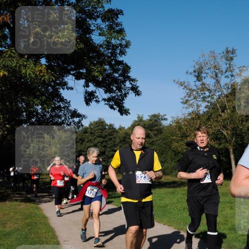 28.09.2025 - 33. Volkslauf durch das schöne Alstertal Fabian Wolf http://msf.ph/oto/8975523 28.09.2025 10:36:48 Laufen 3289, 3126, 3239 meine-sportfotos.de