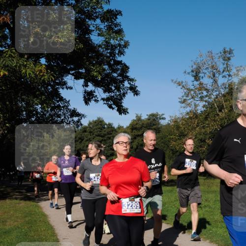 28.09.2025 - 33. Volkslauf durch das schöne Alstertal Fabian Wolf http://msf.ph/oto/8975545 28.09.2025 10:36:52 Laufen 2, 325, 342, 3289, 3105 meine-sportfotos.de