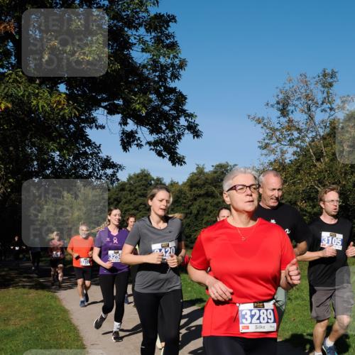 28.09.2025 - 33. Volkslauf durch das schöne Alstertal Fabian Wolf http://msf.ph/oto/8975549 28.09.2025 10:36:52 Laufen 2, 325, 420, 3289, 3105 meine-sportfotos.de