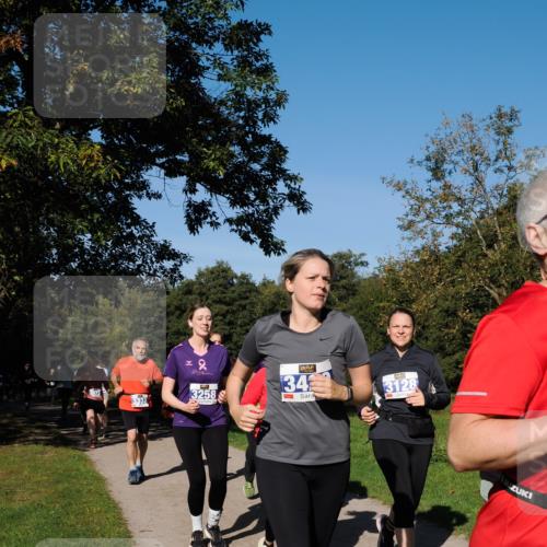 28.09.2025 - 33. Volkslauf durch das schöne Alstertal Fabian Wolf http://msf.ph/oto/8975554 28.09.2025 10:36:53 Laufen 3332, 3258, 34, 3128 meine-sportfotos.de