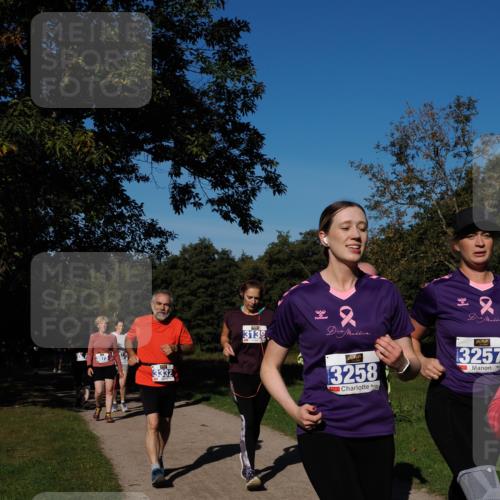 28.09.2025 - 33. Volkslauf durch das schöne Alstertal Fabian Wolf http://msf.ph/oto/8975559 28.09.2025 10:36:54 Laufen 3073, 3332, 3139, 90, 2, 3258, 13257 meine-sportfotos.de