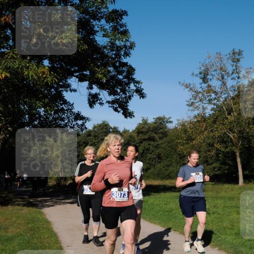 28.09.2025 - 33. Volkslauf durch das schöne Alstertal Fabian Wolf http://msf.ph/oto/8975585 28.09.2025 10:36:58 Laufen 3073, 3058 meine-sportfotos.de