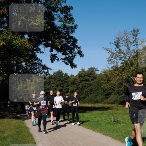 28.09.2025 - 33. Volkslauf durch das schöne Alstertal Fabian Wolf http://msf.ph/oto/8975655 28.09.2025 10:37:11 Laufen 3956 meine-sportfotos.de