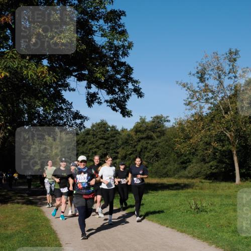 28.09.2025 - 33. Volkslauf durch das schöne Alstertal Fabian Wolf http://msf.ph/oto/8975658 28.09.2025 10:37:12 Laufen 164, 3154 meine-sportfotos.de