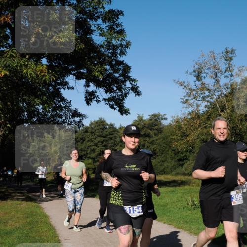 28.09.2025 - 33. Volkslauf durch das schöne Alstertal Fabian Wolf http://msf.ph/oto/8975673 28.09.2025 10:37:15 Laufen 3154, 395 meine-sportfotos.de
