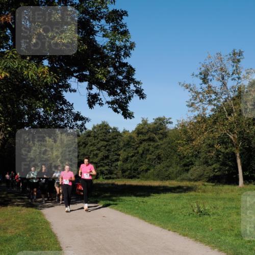 28.09.2025 - 33. Volkslauf durch das schöne Alstertal Fabian Wolf http://msf.ph/oto/8975738 28.09.2025 10:37:38 Laufen  meine-sportfotos.de
