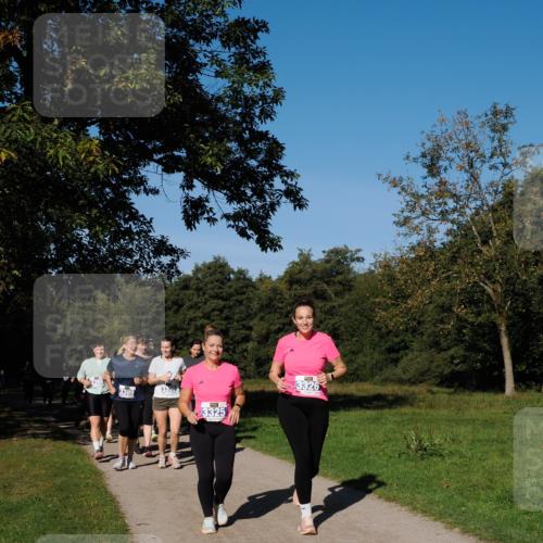 28.09.2025 - 33. Volkslauf durch das schöne Alstertal Fabian Wolf http://msf.ph/oto/8975739 28.09.2025 10:37:41 Laufen 3389, 3325, 3326 meine-sportfotos.de