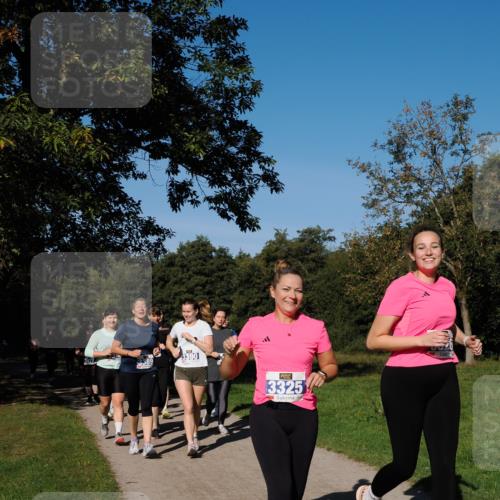 28.09.2025 - 33. Volkslauf durch das schöne Alstertal Fabian Wolf http://msf.ph/oto/8975752 28.09.2025 10:37:42 Laufen 85, 3390, 13325 meine-sportfotos.de