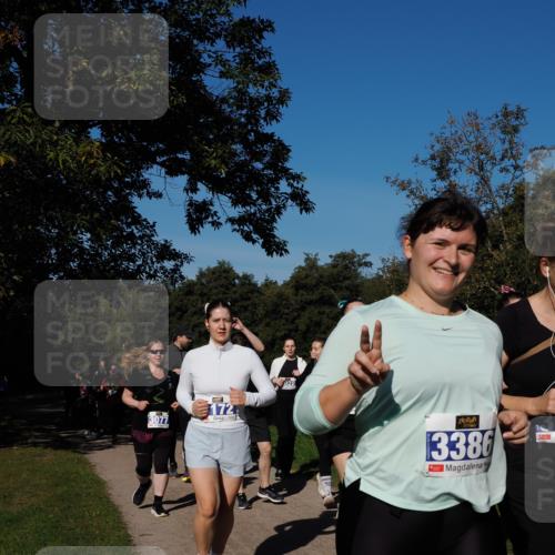 28.09.2025 - 33. Volkslauf durch das schöne Alstertal Fabian Wolf http://msf.ph/oto/8975770 28.09.2025 10:37:46 Laufen 3077, 172, 028, 13386 meine-sportfotos.de