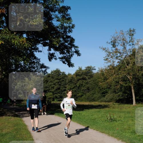 28.09.2025 - 33. Volkslauf durch das schöne Alstertal Fabian Wolf http://msf.ph/oto/8975919 28.09.2025 10:38:29 Laufen 3360, 4020 meine-sportfotos.de