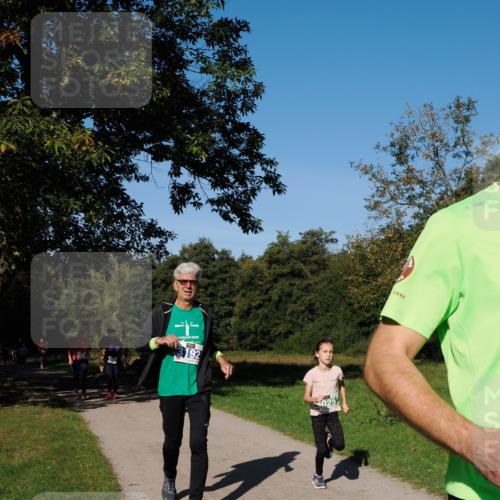 28.09.2025 - 33. Volkslauf durch das schöne Alstertal Fabian Wolf http://msf.ph/oto/8976037 28.09.2025 10:38:52 Laufen  meine-sportfotos.de