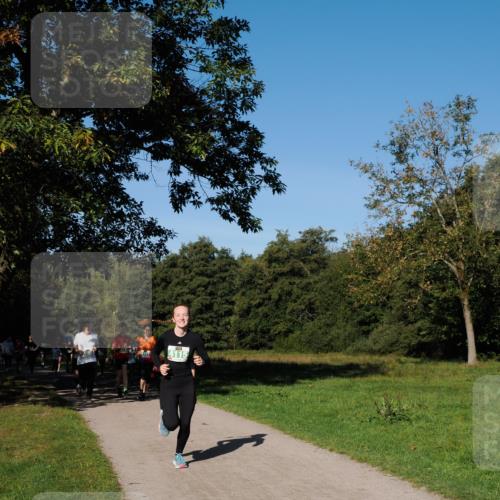 28.09.2025 - 33. Volkslauf durch das schöne Alstertal Fabian Wolf http://msf.ph/oto/8976117 28.09.2025 10:39:08 Laufen 4115 meine-sportfotos.de