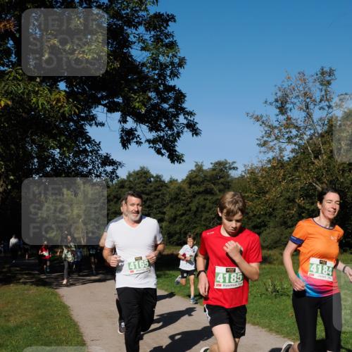 28.09.2025 - 33. Volkslauf durch das schöne Alstertal Fabian Wolf http://msf.ph/oto/8976146 28.09.2025 10:39:12 Laufen 4165, 4185, 4184 meine-sportfotos.de