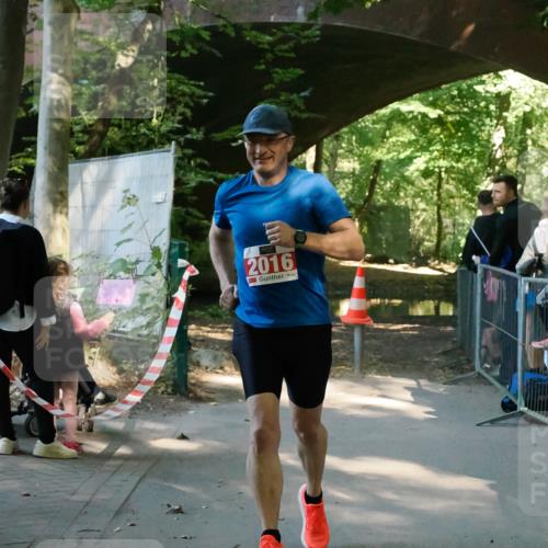 28.09.2025 - 33. Volkslauf durch das schöne Alstertal Fabian Wolf http://msf.ph/oto/8976157 28.09.2025 12:25:54 Laufen 2016 meine-sportfotos.de