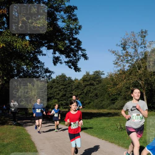 28.09.2025 - 33. Volkslauf durch das schöne Alstertal Fabian Wolf http://msf.ph/oto/8976262 28.09.2025 10:39:25 Laufen 4038, 4120, 4157 meine-sportfotos.de