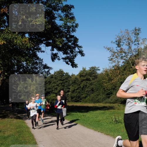 28.09.2025 - 33. Volkslauf durch das schöne Alstertal Fabian Wolf http://msf.ph/oto/8976309 28.09.2025 10:39:33 Laufen 409, 4042 meine-sportfotos.de