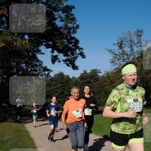 28.09.2025 - 33. Volkslauf durch das schöne Alstertal Fabian Wolf http://msf.ph/oto/8976581 28.09.2025 10:40:19 Laufen 4127, 4032, 4103, 4088 meine-sportfotos.de