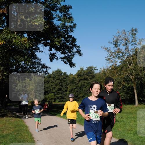 28.09.2025 - 33. Volkslauf durch das schöne Alstertal Fabian Wolf http://msf.ph/oto/8976597 28.09.2025 10:40:20 Laufen 127, 4075, 80 meine-sportfotos.de