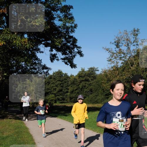 28.09.2025 - 33. Volkslauf durch das schöne Alstertal Fabian Wolf http://msf.ph/oto/8976600 28.09.2025 10:40:20 Laufen 975 meine-sportfotos.de