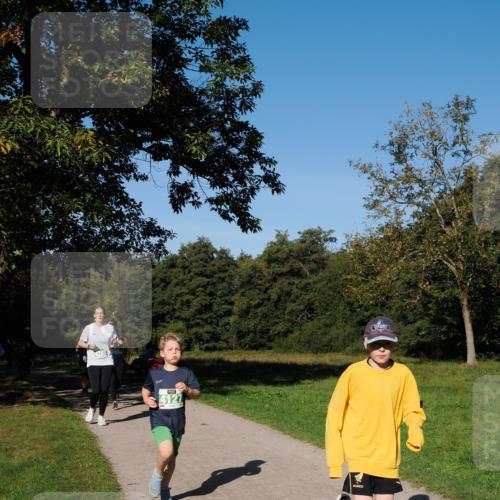 28.09.2025 - 33. Volkslauf durch das schöne Alstertal Fabian Wolf http://msf.ph/oto/8976606 28.09.2025 10:40:21 Laufen 4127 meine-sportfotos.de