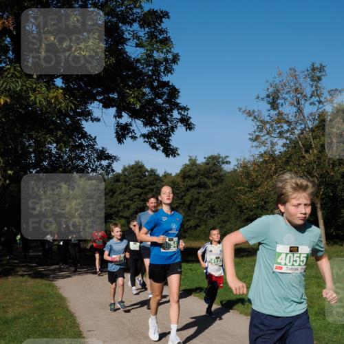 28.09.2025 - 33. Volkslauf durch das schöne Alstertal Fabian Wolf http://msf.ph/oto/8976726 28.09.2025 10:40:40 Laufen 4917, 4065, 4055 meine-sportfotos.de