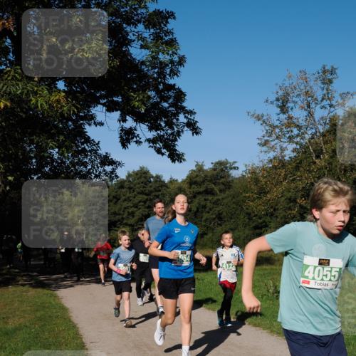 28.09.2025 - 33. Volkslauf durch das schöne Alstertal Fabian Wolf http://msf.ph/oto/8976727 28.09.2025 10:40:40 Laufen 4917, 4091, 4065, 4055 meine-sportfotos.de
