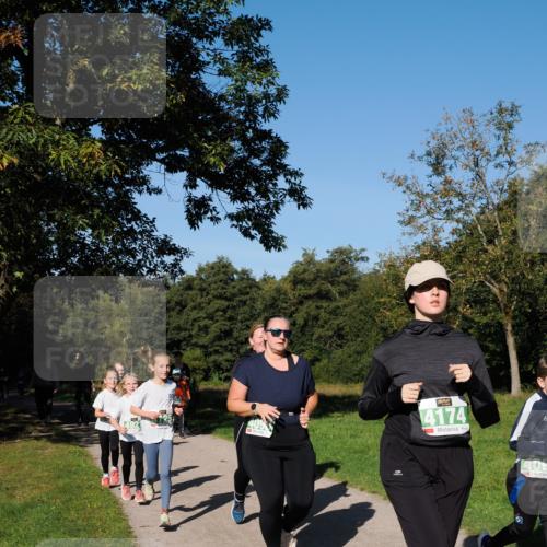 28.09.2025 - 33. Volkslauf durch das schöne Alstertal Fabian Wolf http://msf.ph/oto/8976759 28.09.2025 10:40:46 Laufen 4174, 409 meine-sportfotos.de