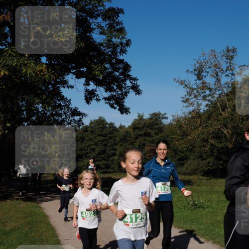 28.09.2025 - 33. Volkslauf durch das schöne Alstertal Fabian Wolf http://msf.ph/oto/8976777 28.09.2025 10:40:47 Laufen 4086, 4126, 492, 4125 meine-sportfotos.de
