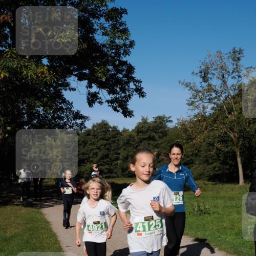 28.09.2025 - 33. Volkslauf durch das schöne Alstertal Fabian Wolf http://msf.ph/oto/8976778 28.09.2025 10:40:47 Laufen 086, 4921, 4125, 26 meine-sportfotos.de