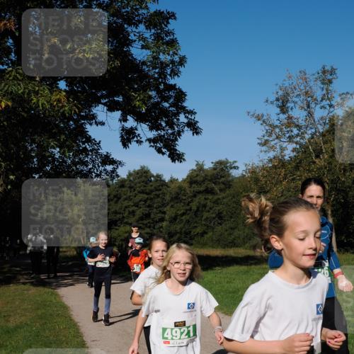 28.09.2025 - 33. Volkslauf durch das schöne Alstertal Fabian Wolf http://msf.ph/oto/8976783 28.09.2025 10:40:48 Laufen 4921, 4125 meine-sportfotos.de
