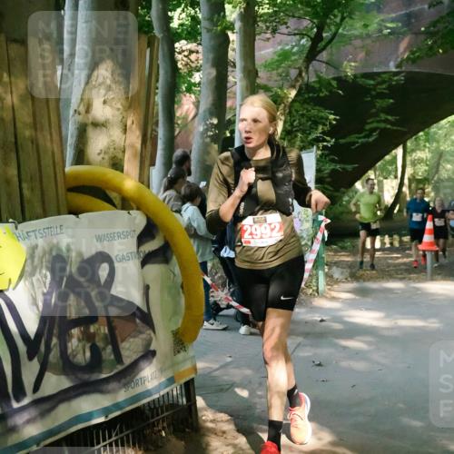 28.09.2025 - 33. Volkslauf durch das schöne Alstertal Fabian Wolf http://msf.ph/oto/8976891 28.09.2025 12:32:43 Laufen 2992 meine-sportfotos.de