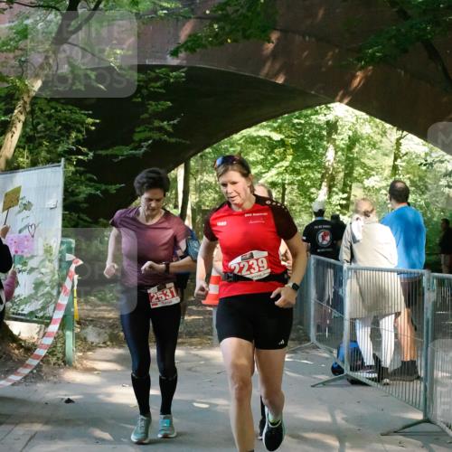 28.09.2025 - 33. Volkslauf durch das schöne Alstertal Fabian Wolf http://msf.ph/oto/8976928 28.09.2025 12:33:01 Laufen 2531, 2239 meine-sportfotos.de