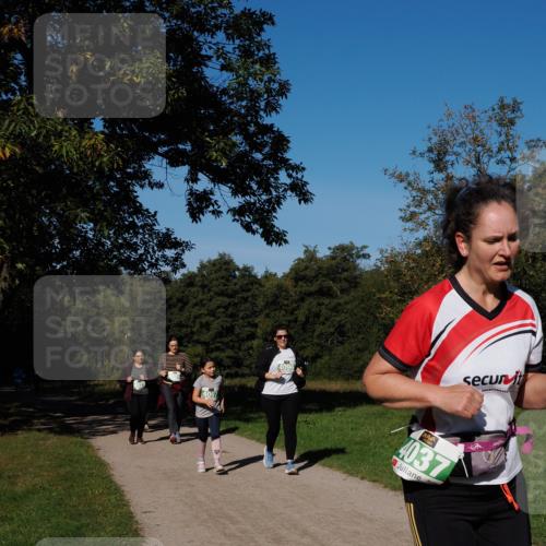 28.09.2025 - 33. Volkslauf durch das schöne Alstertal Fabian Wolf http://msf.ph/oto/8977146 28.09.2025 10:42:55 Laufen 4091, 4096, 4037 meine-sportfotos.de