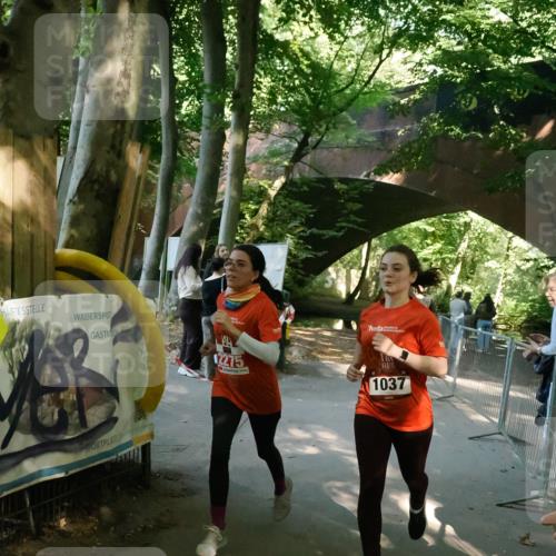 28.09.2025 - 33. Volkslauf durch das schöne Alstertal Fabian Wolf http://msf.ph/oto/8977376 28.09.2025 12:43:05 Laufen 12275, 1, 1037 meine-sportfotos.de