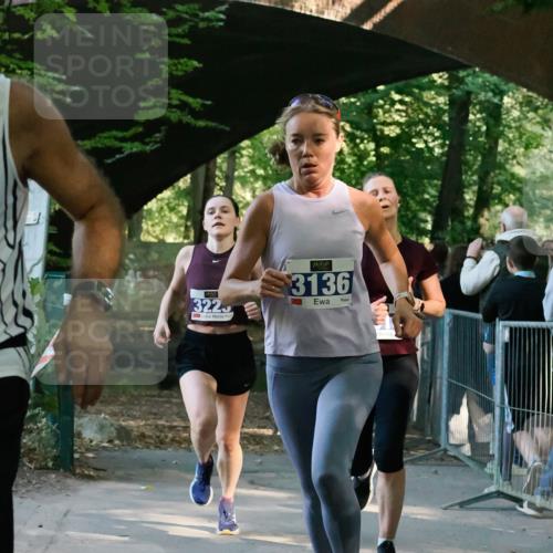28.09.2025 - 33. Volkslauf durch das schöne Alstertal Fabian Wolf http://msf.ph/oto/8977426 28.09.2025 11:22:29 Laufen 3225, 3136 meine-sportfotos.de