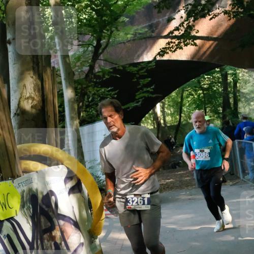 28.09.2025 - 33. Volkslauf durch das schöne Alstertal Fabian Wolf http://msf.ph/oto/8977679 28.09.2025 11:34:15 Laufen 3261, 3086 meine-sportfotos.de