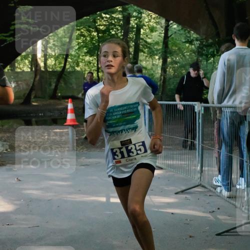 28.09.2025 - 33. Volkslauf durch das schöne Alstertal Fabian Wolf http://msf.ph/oto/8977699 28.09.2025 11:35:47 Laufen 56, 2025, 3135 meine-sportfotos.de