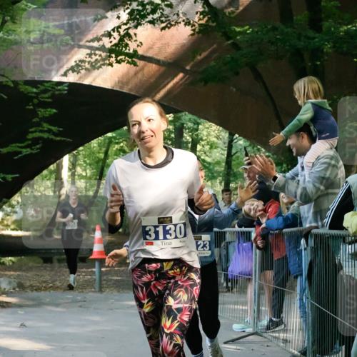 28.09.2025 - 33. Volkslauf durch das schöne Alstertal Fabian Wolf http://msf.ph/oto/8977726 28.09.2025 11:37:57 Laufen 3130, 23 meine-sportfotos.de