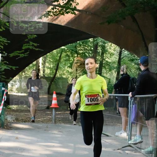 28.09.2025 - 33. Volkslauf durch das schöne Alstertal Fabian Wolf http://msf.ph/oto/8977758 28.09.2025 11:40:22 Laufen 1005 meine-sportfotos.de