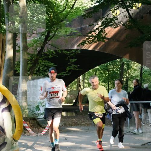 28.09.2025 - 33. Volkslauf durch das schöne Alstertal Fabian Wolf http://msf.ph/oto/8977777 28.09.2025 11:41:44 Laufen 1801, 1558, 3269 meine-sportfotos.de
