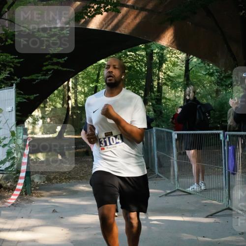 28.09.2025 - 33. Volkslauf durch das schöne Alstertal Fabian Wolf http://msf.ph/oto/8977815 28.09.2025 11:44:12 Laufen 3104 meine-sportfotos.de