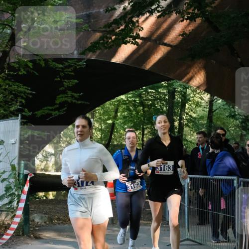 28.09.2025 - 33. Volkslauf durch das schöne Alstertal Fabian Wolf http://msf.ph/oto/8977846 28.09.2025 11:46:26 Laufen 3174, 3162, 3163 meine-sportfotos.de