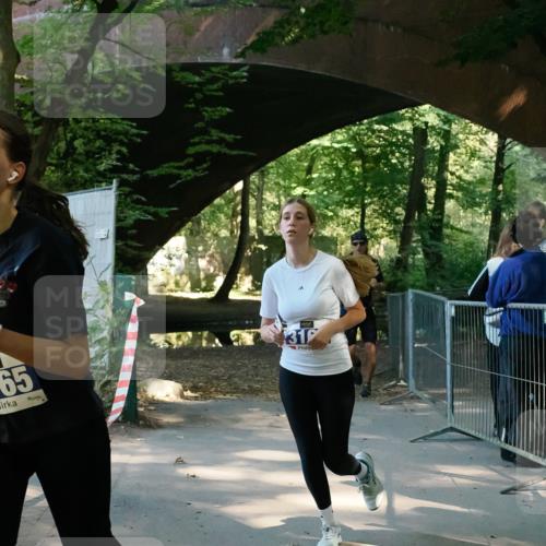28.09.2025 - 33. Volkslauf durch das schöne Alstertal Fabian Wolf http://msf.ph/oto/8977908 28.09.2025 11:51:39 Laufen 65, 31 meine-sportfotos.de