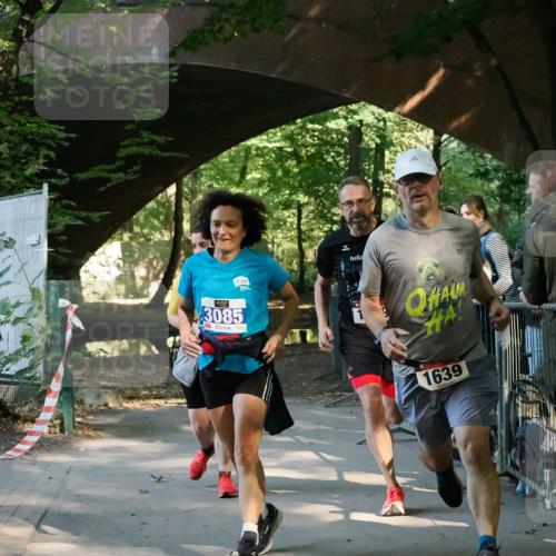 28.09.2025 - 33. Volkslauf durch das schöne Alstertal Fabian Wolf http://msf.ph/oto/8977971 28.09.2025 11:55:59 Laufen 3085, 10, 1639 meine-sportfotos.de